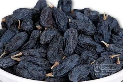 فروش مویز