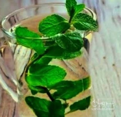 فروش عرق نعناع