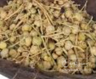 فروش  اسفند (گیاه‌ دارویی)