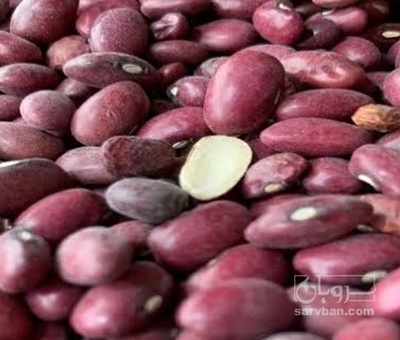 فروش لوبیا قرمز