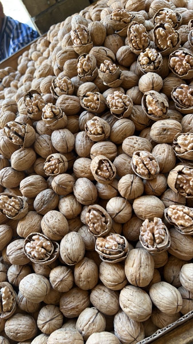 فروش گردو