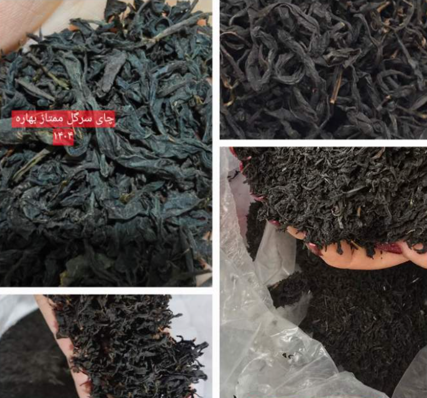 فروش چای سیاه