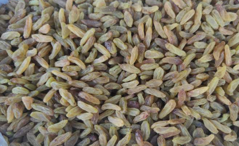 فروش کشمش