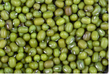 فروش ماش