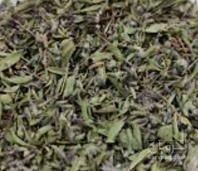 فروش کاکوتی (گیاه‌ دارویی)