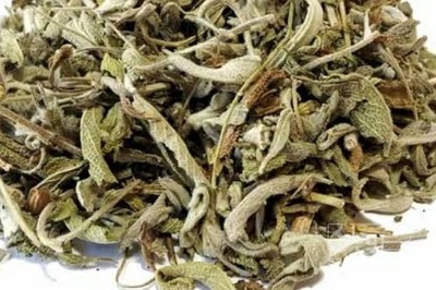 فروش مریم گلی (گیاه‌ دارویی)