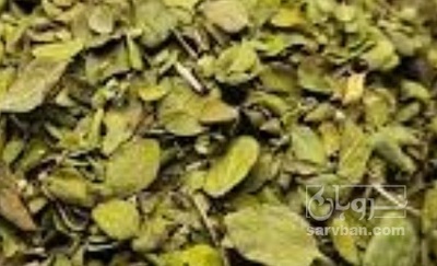 فروش آویشن خشک (گیاه‌ دارویی)