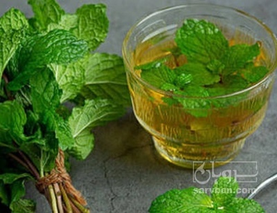 فروش عرق نعناع