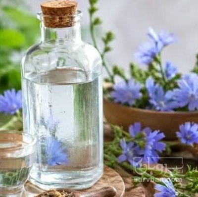 فروش عرق کاسنی