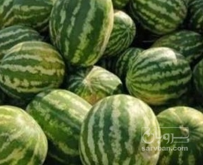فروش هندوانه