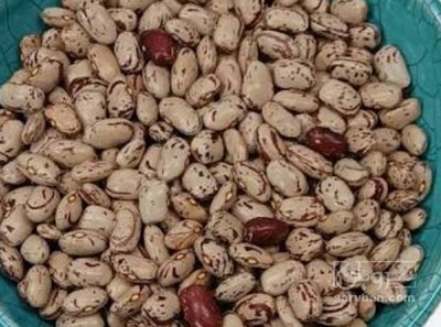 فروش لوبیا چیتی
