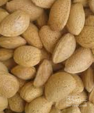 فروش بادام سنگی