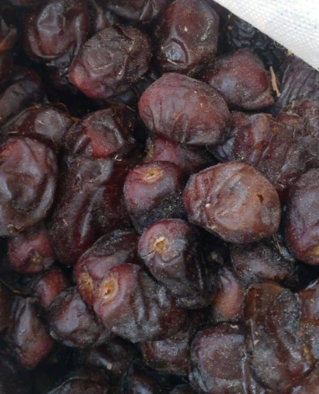 فروش خرما