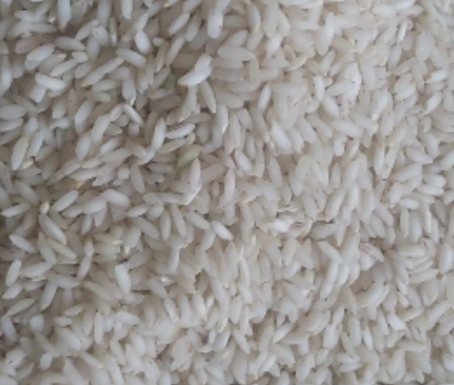 فروش برنج