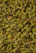 فروش کشمش