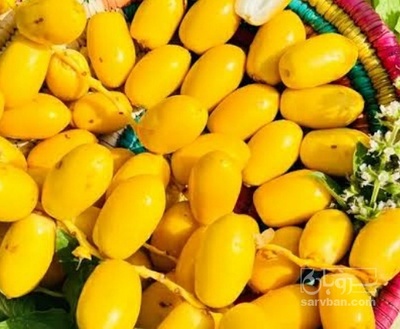 فروش خارک خرما