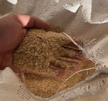 فروش سبوس گندم