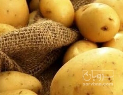 فروش سیب زمینی جلی