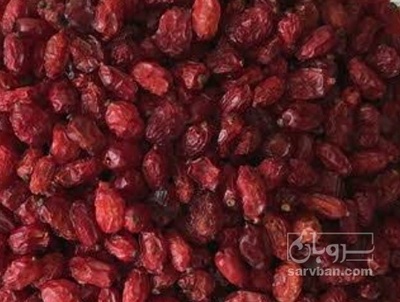 فروش زرشک زیرتالاری
