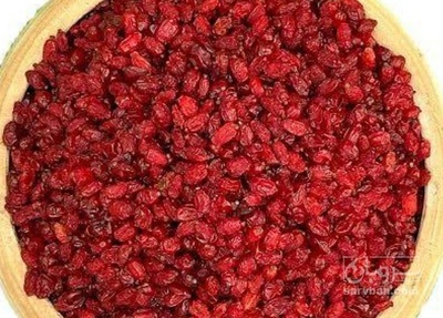 فروش زرشک اناری