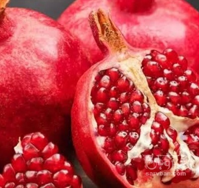 فروش انار