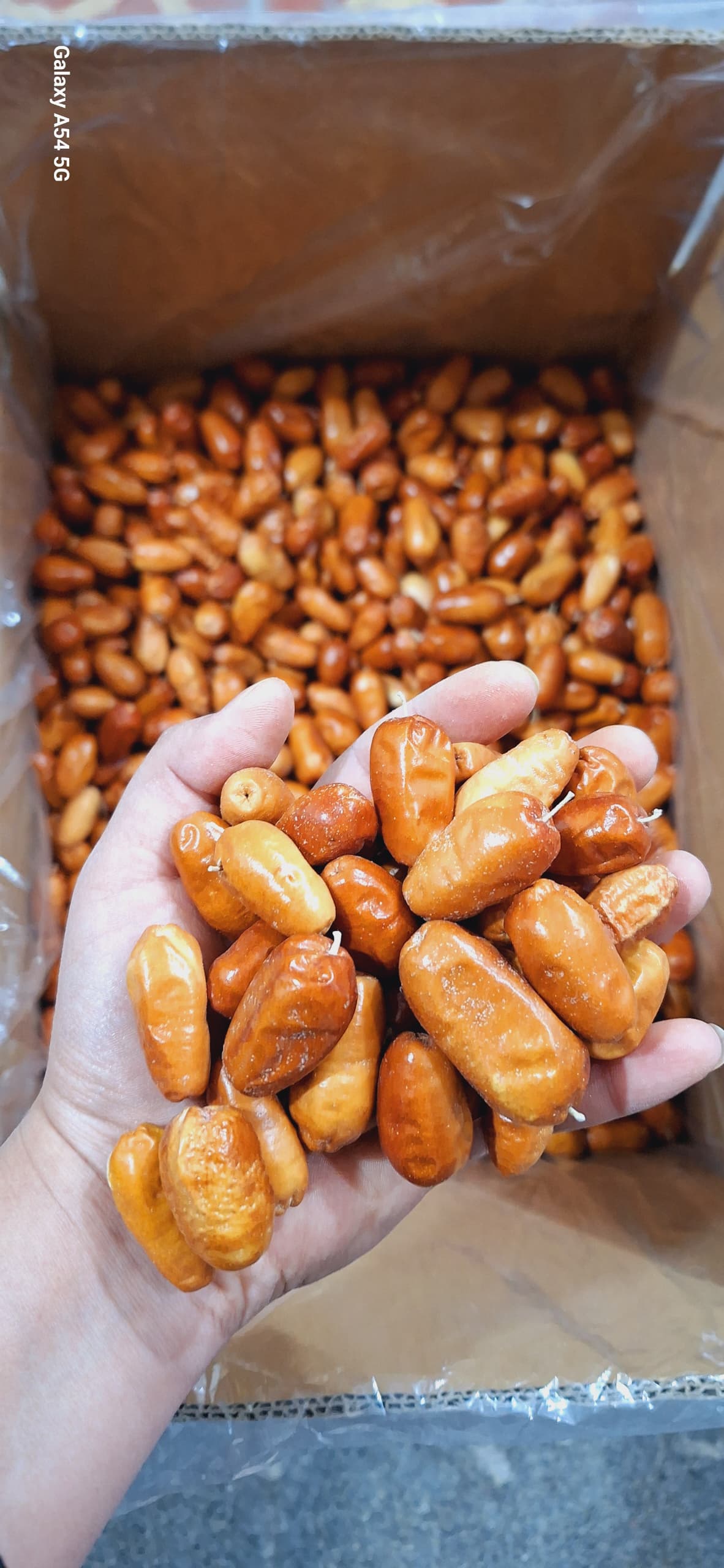 فروش سنجد