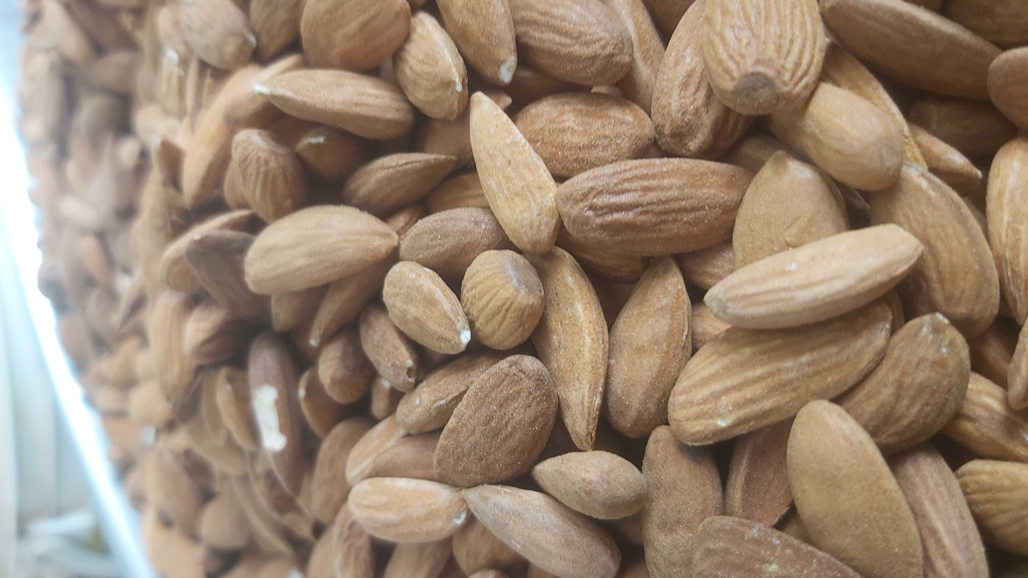 فروش مغز بادام