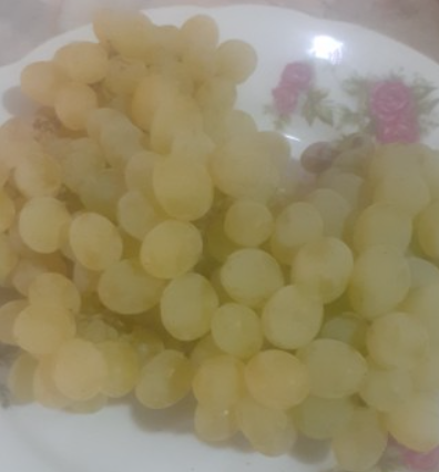 فروش انگور