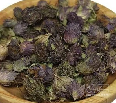 فروش شیرخشت (گیاه‌ دارویی)
