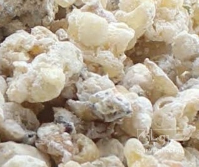 فروش زوفا خشک (گیاه‌ دارویی)