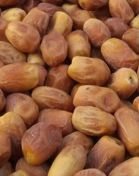 فروش خرما