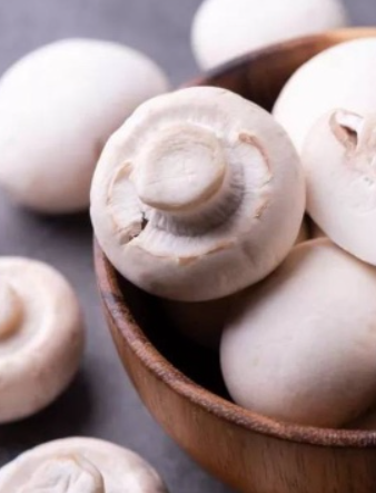 فروش قارچ دکمه ای