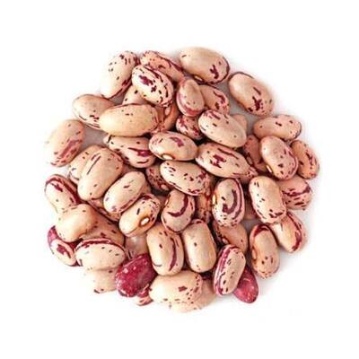 فروش لوبیا چیتی