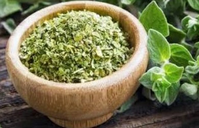 فروش پونه خرمن کوب