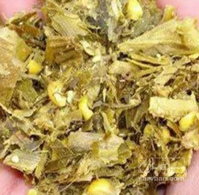 فروش ذرت علوفه ای