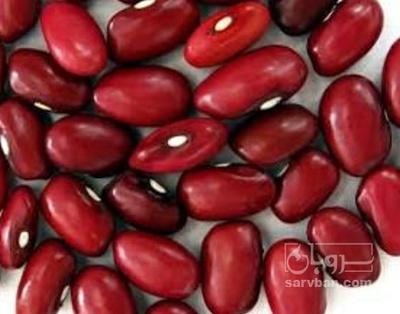 فروش لوبیا قرمز
