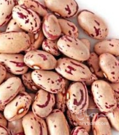 فروش لوبیا چیتی