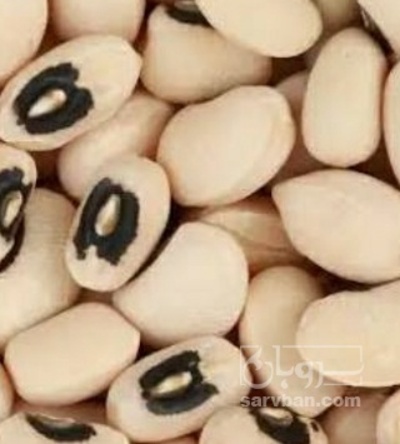 پیش فروش لوبیا چشم بلبلی 2