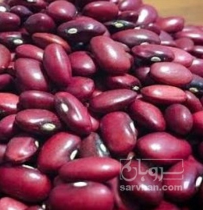 فروش لوبیا قرمز