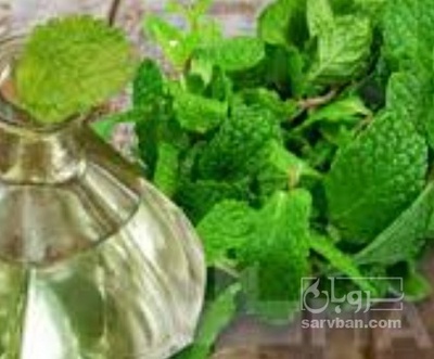 فروش عرق نعناع