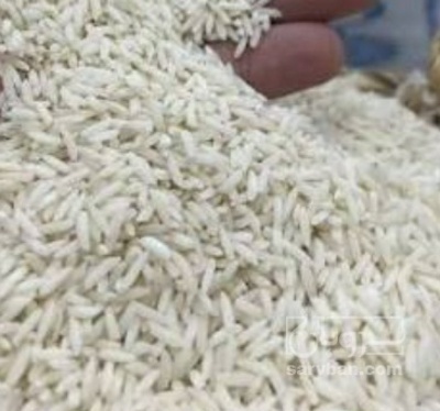 فروش برنج عنبر بو
