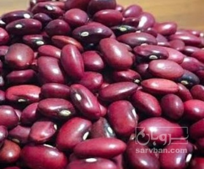 فروش لوبیا قرمز