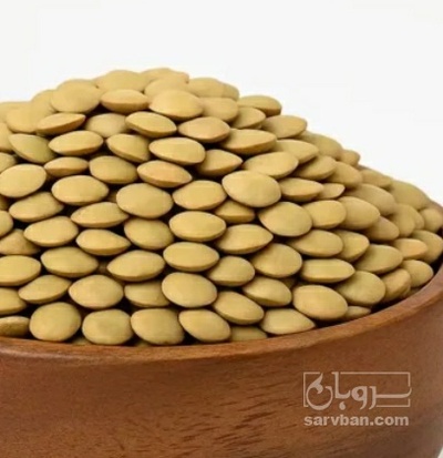 فروش عدس