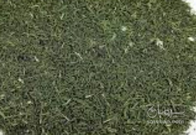 فروش شوید خشک (گیاه‌ دارویی)