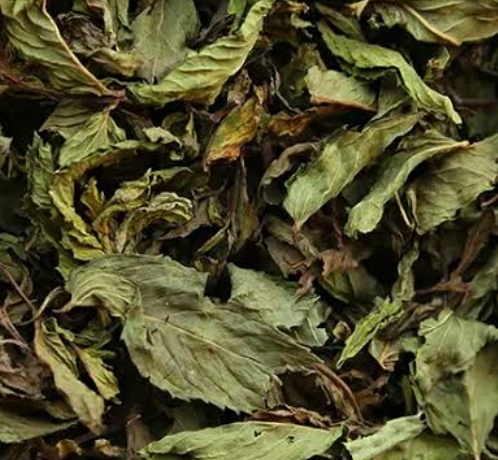 فروش نعناع خشک (گیاه‌ دارویی)