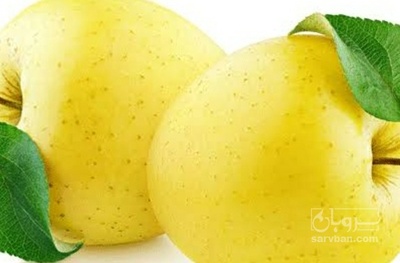 فروش سیب
