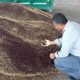 قیمت محصولات کشاورزی
