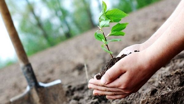 قیمت محصولات کشاورزی
