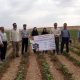 قیمت محصولات کشاورزی