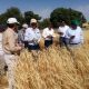 قیمت محصولات کشاورزی